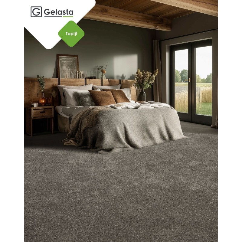 GELASTA BV | Auroria